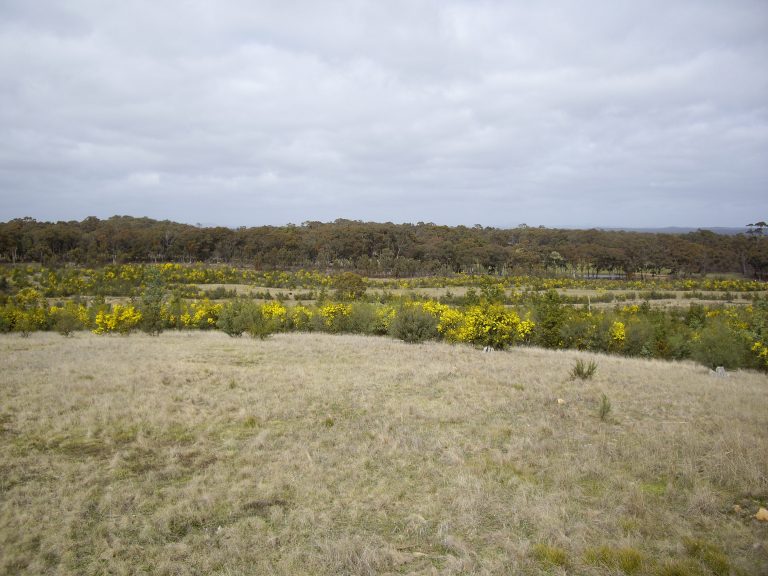 2012 top of hill looking south west