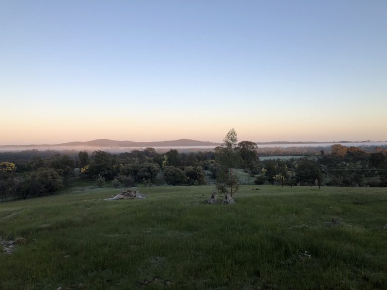 2019 top of hill looking to Maldon