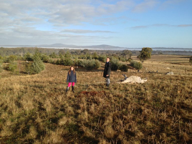 EOW block May 2013 top of the hill look to maldon