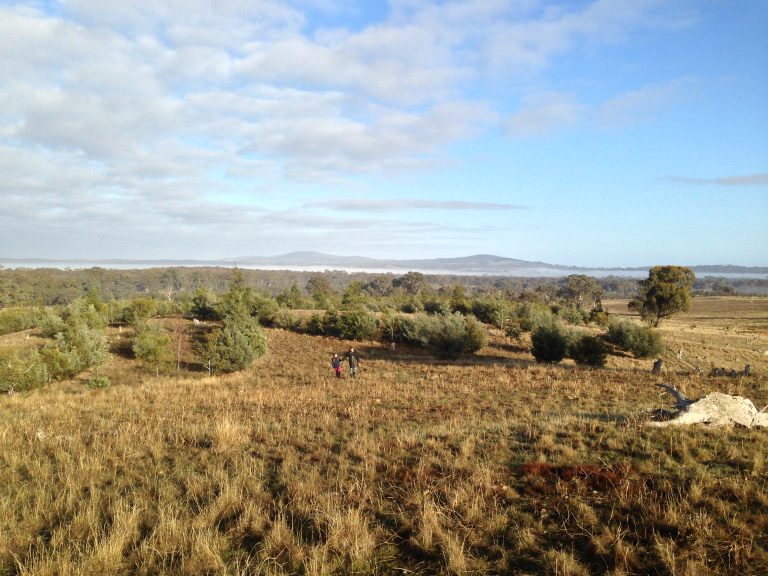 2013 top of hill looking to Maldon