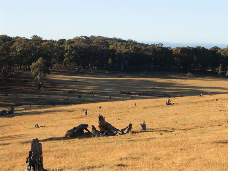 2006 south view