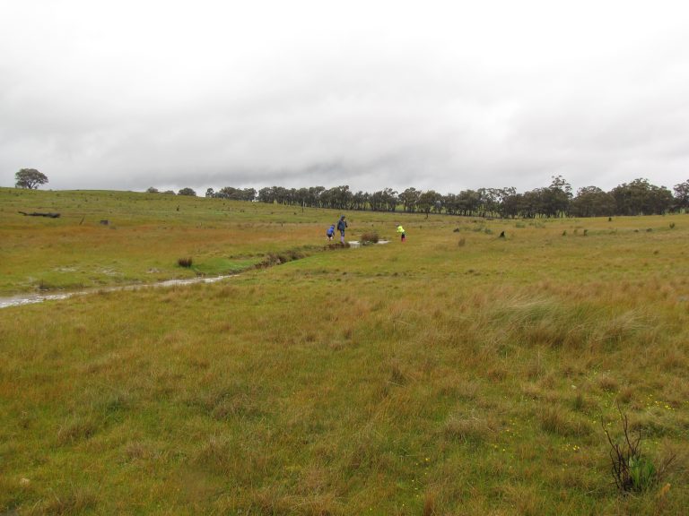 2010 bottom gully looking east