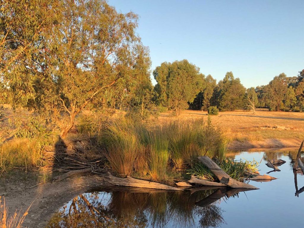 2021 dam habitat north side