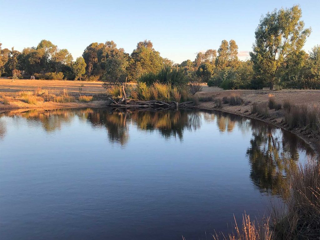 2021 dam habitat south side
