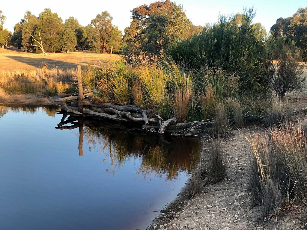 2021 dam habitat south side