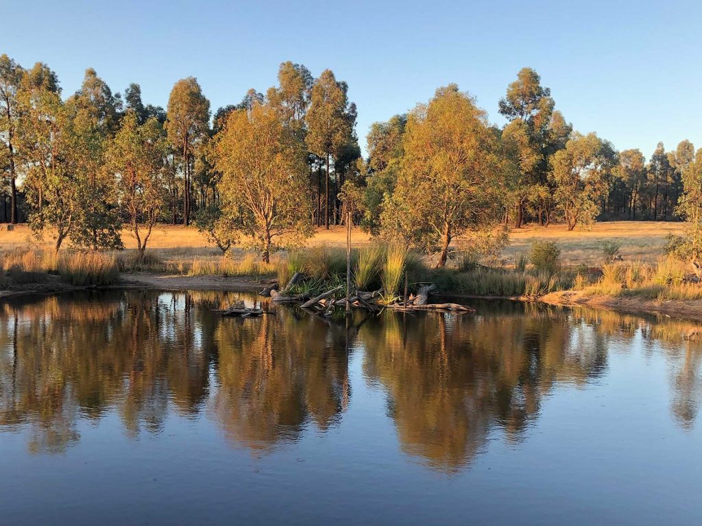 2021 dam habitat north side