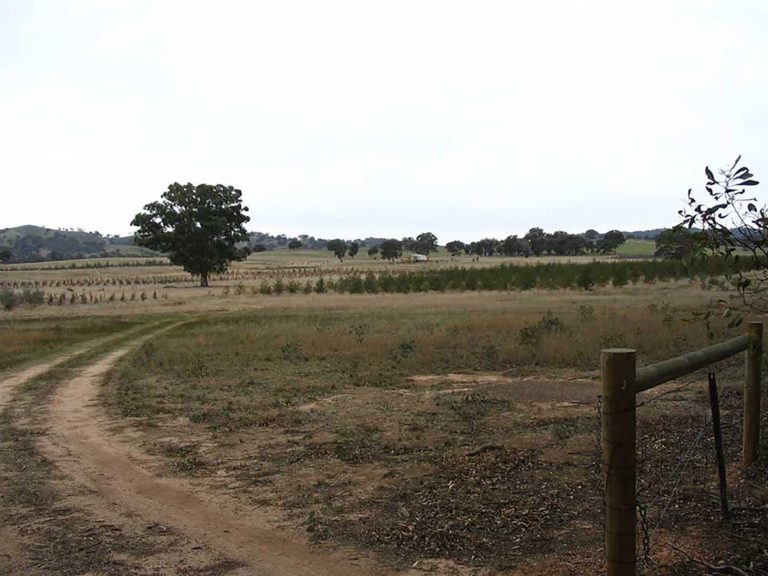 2006 July front gate view